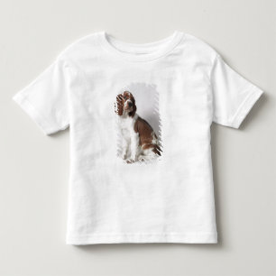Springerspaniel Tee