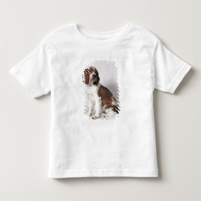 Springerspaniel Tee (Framsida)