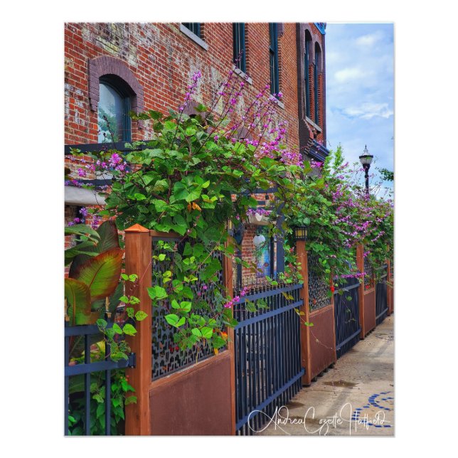 Springfield Missouri Gata Fototryck (Framsidan)