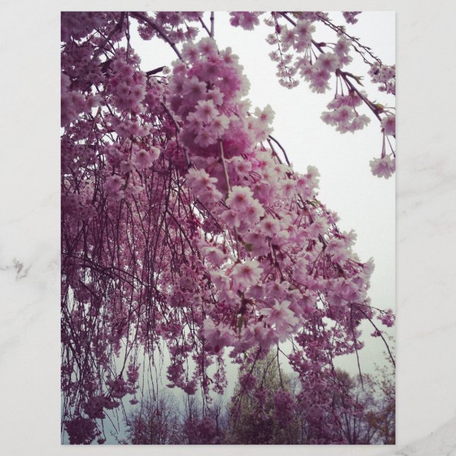Springtime (Framsida)