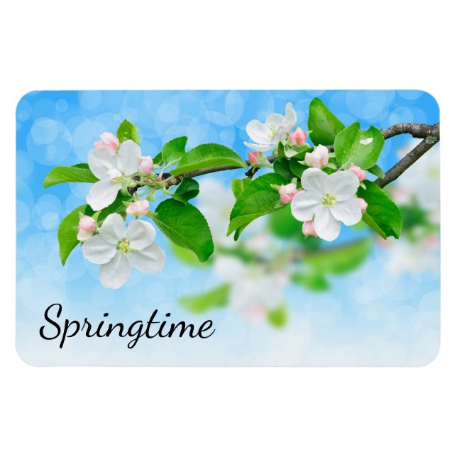 Springtime (äppelblommor) magnet (Horisontell)
