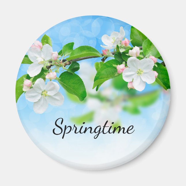Springtime (äppelblommor) magnet (Framsidan)