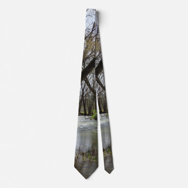 Springtime at Finley Neck Tie Slips (Framsida)