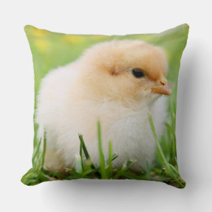 Springtime Baby Chick Kudde