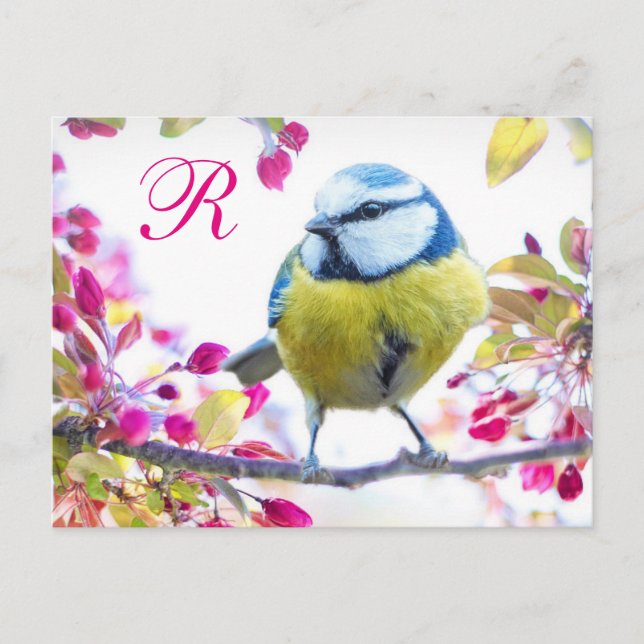 Springtime Bird Monogram Vykort (Framsida)