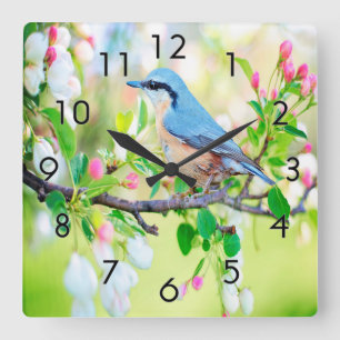 Springtime Blue Jay Fyrkantig Klocka