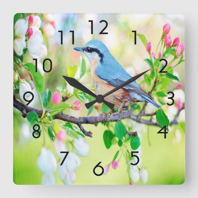 Springtime Blue Jay Fyrkantig Klocka (Framsida)