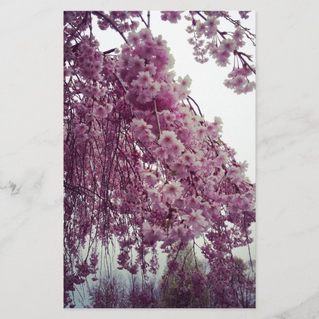 Springtime Brevpapper (Framsida)