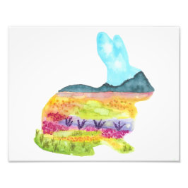 Springtime Bunny Photo Print Fototryck