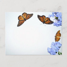 Springtime Butterflies Vykort