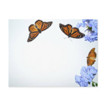 Springtime Butterflies