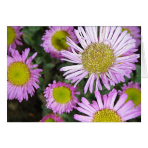 "Springtime chez moi" OBS Kort
