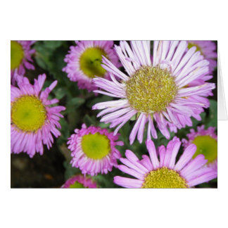 "Springtime chez moi" OBS Kort