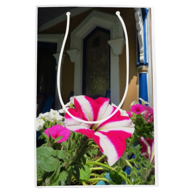 Springtime Flower Box - Martha's Vineyard (Framsidan)