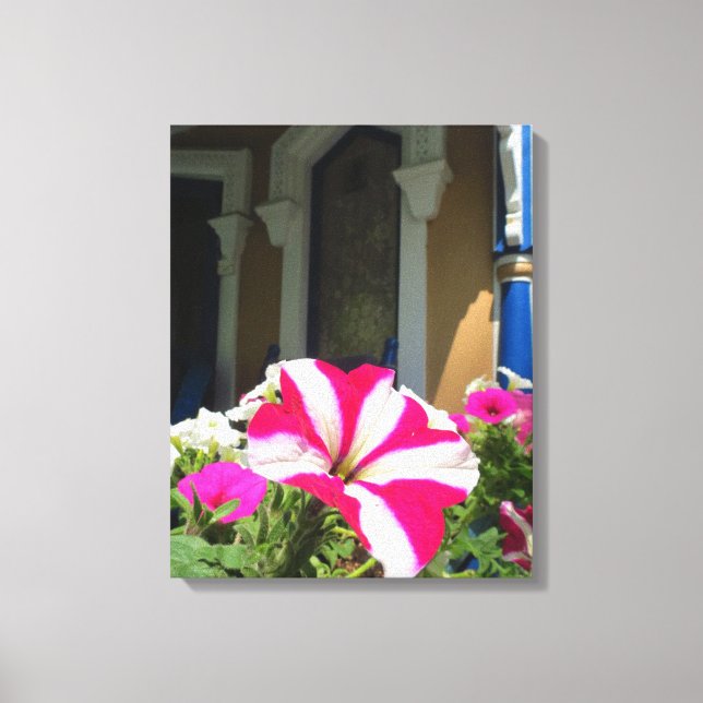 Springtime Flower Box - Martha's Vineyard Canvastryck (Framsida)