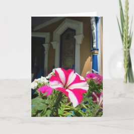 Springtime Flower Box - Martha's Vineyard Kort