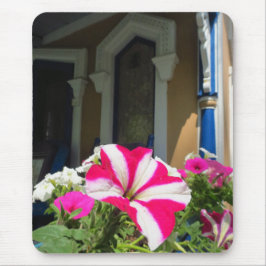 Springtime Flower Box - Martha's Vineyard Musmatta