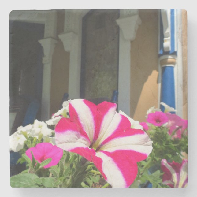 Springtime Flower Box - Martha's Vineyard Stenunderlägg (Framsidan)