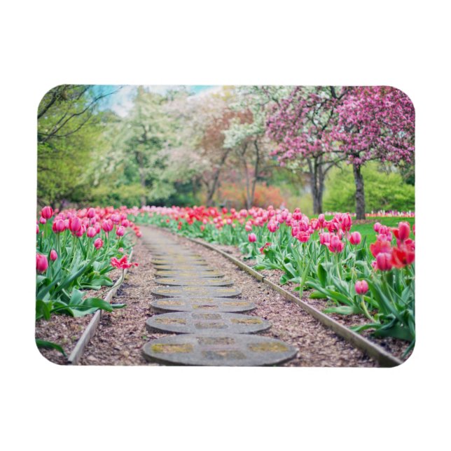 Springtime Flowers Along Stone Walkway Magnet (Horisontell)