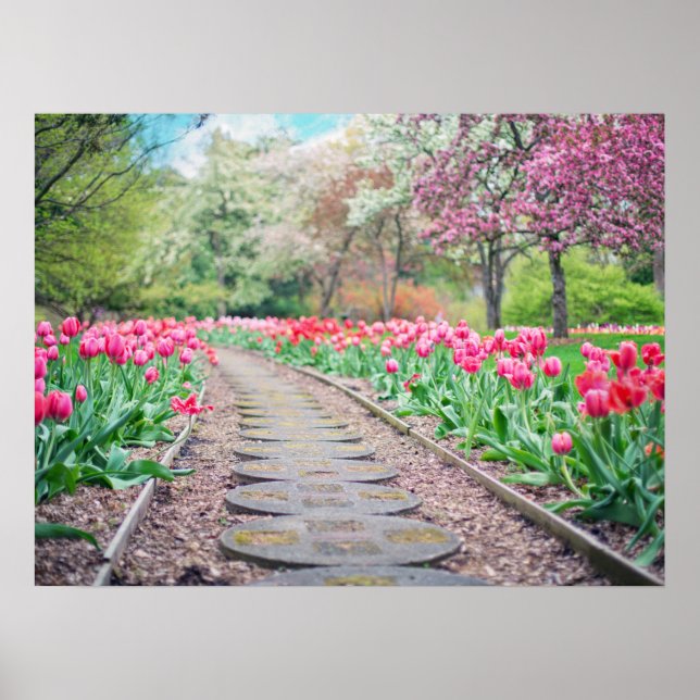 Springtime Flowers Along Stone Walkway Poster (Framsidan)