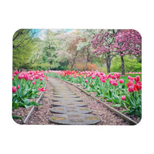 Springtime Flowers vid Stone Walkway Magnet