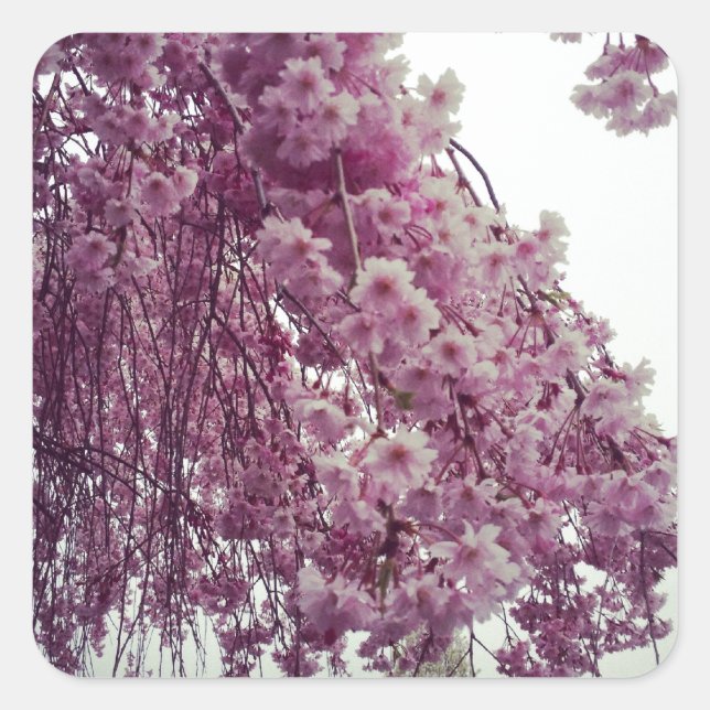 Springtime Fyrkantigt Klistermärke (Framsida)