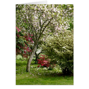 Springtime Hälsningskort