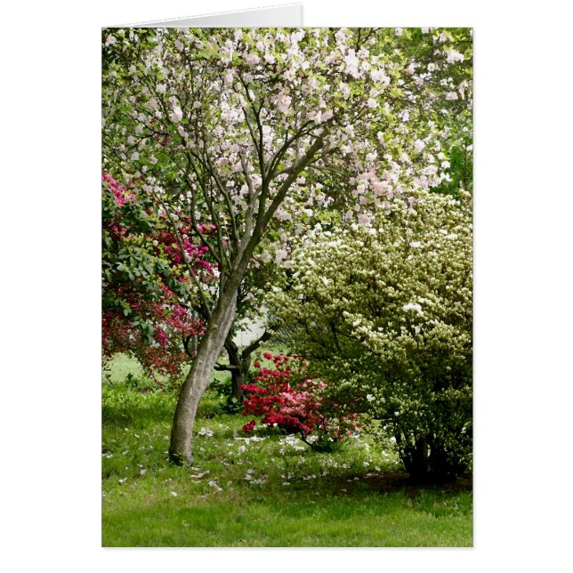 Springtime Hälsningskort (Framsidan)