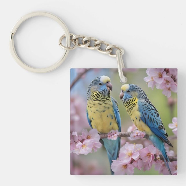 Springtime Harmony: Blue- och Gult Budgies (Framsidan)