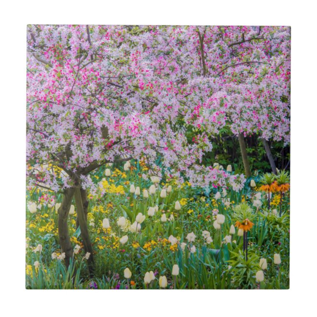 Springtime i Claude Monets trädgård Kakelplatta (Framsidan)