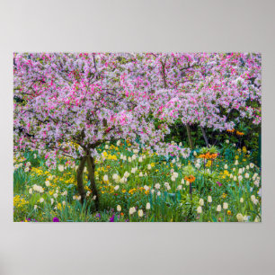 Springtime i Claude Monets trädgård Poster