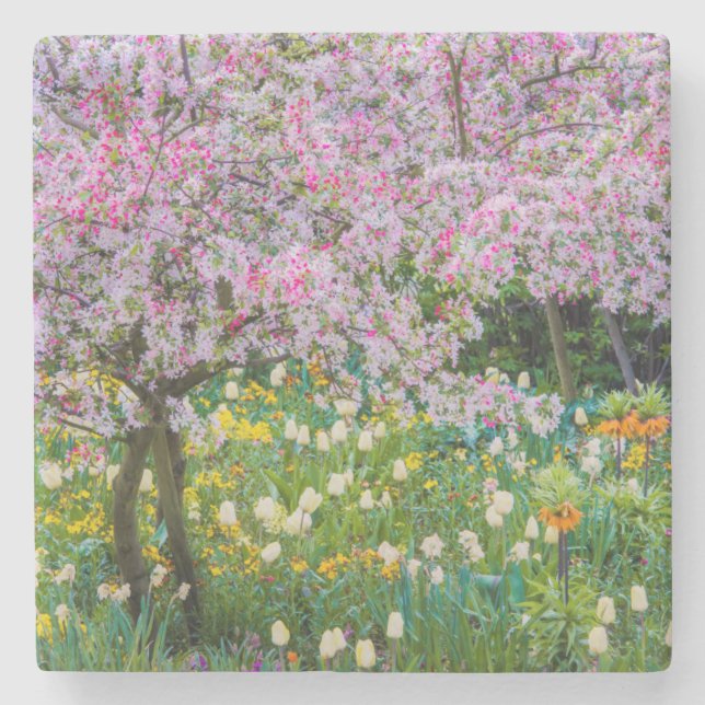 Springtime i Claude Monets trädgård Underlägg Sten (Framsidan)