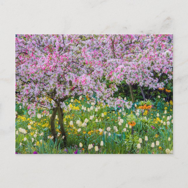 Springtime i Claude Monets trädgård Vykort (Framsida)