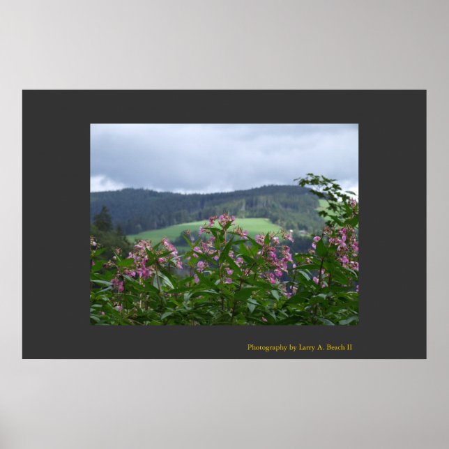Springtime i Triberg Poster (Framsidan)