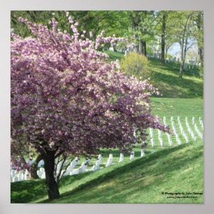 Springtime igen i Arlington National Cemetery Poster