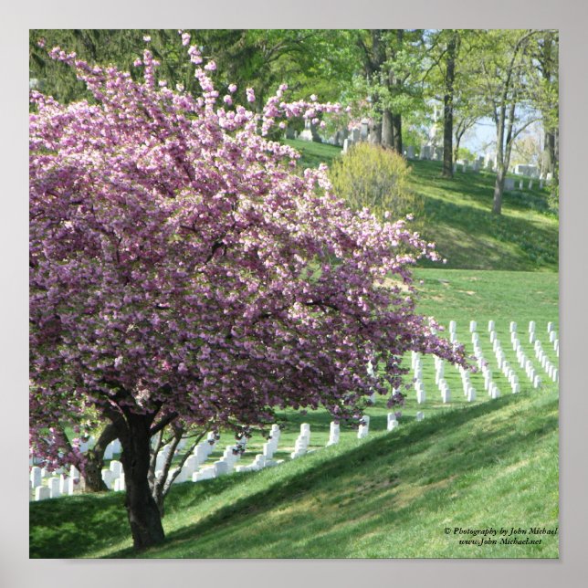 Springtime igen i Arlington National Cemetery Poster (Framsidan)