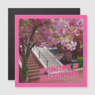 Springtime in Boston, MORSA