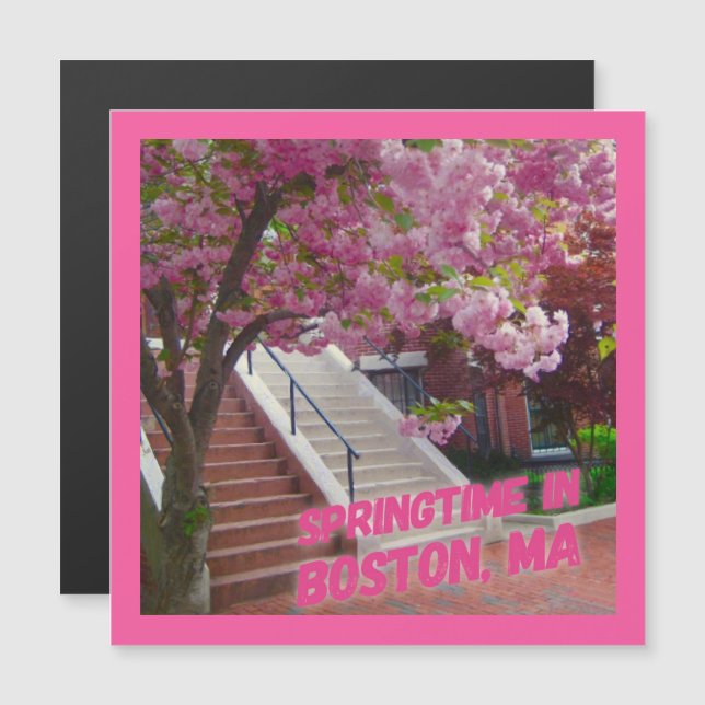 Springtime in Boston, MORSA (Fram/baksida)