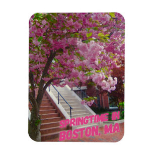 Springtime in Boston, MORSA Magnet