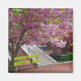 Springtime in Boston, MORSA Magnet