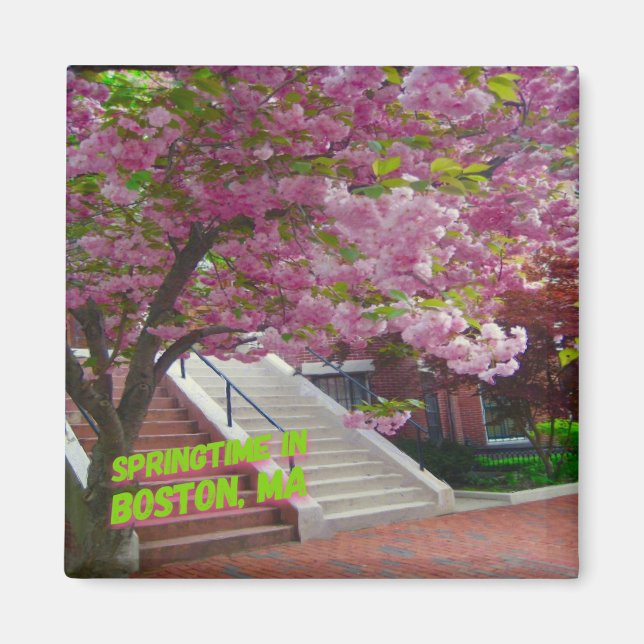 Springtime in Boston, MORSA Magnet (Framsidan)