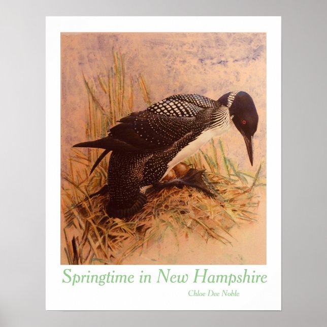 Springtime in New Hampshire by Chloe Dee Noble Poster (Framsidan)