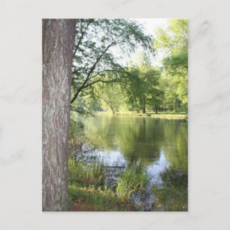 "Springtime in Öster Tennessee" vykort