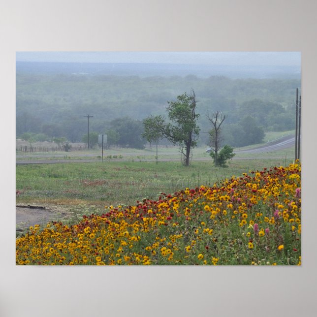 Springtime in Texas Poster (Framsidan)