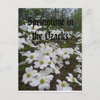 Springtime in the Ozarks Vykort