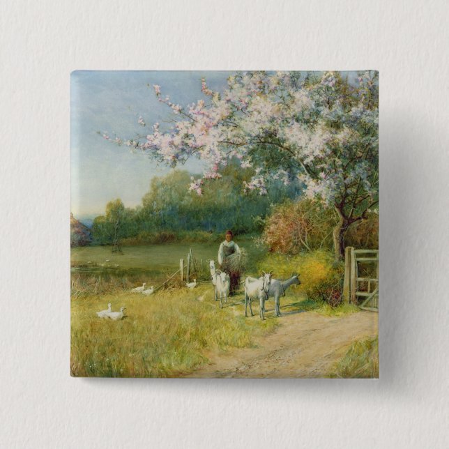 Springtime Knapp (Framsida)