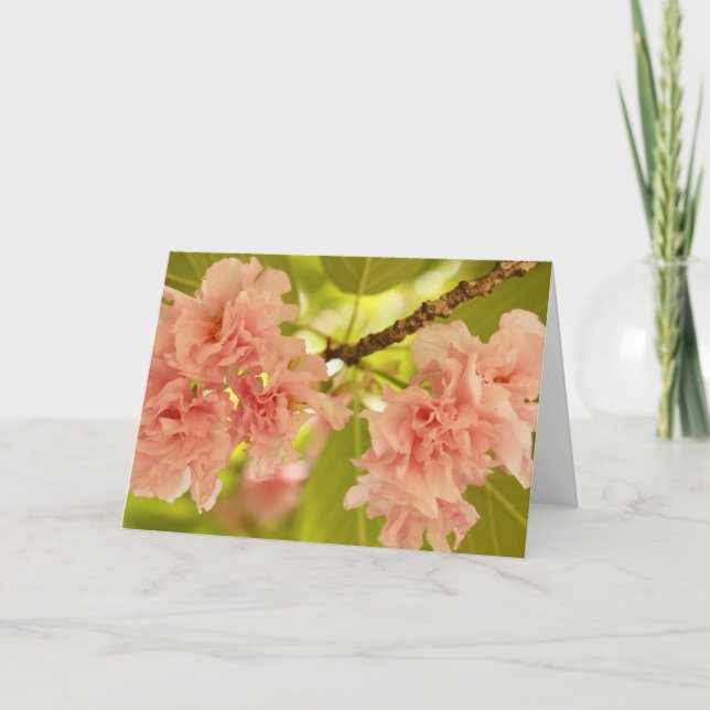 Springtime Kort (Framsida)