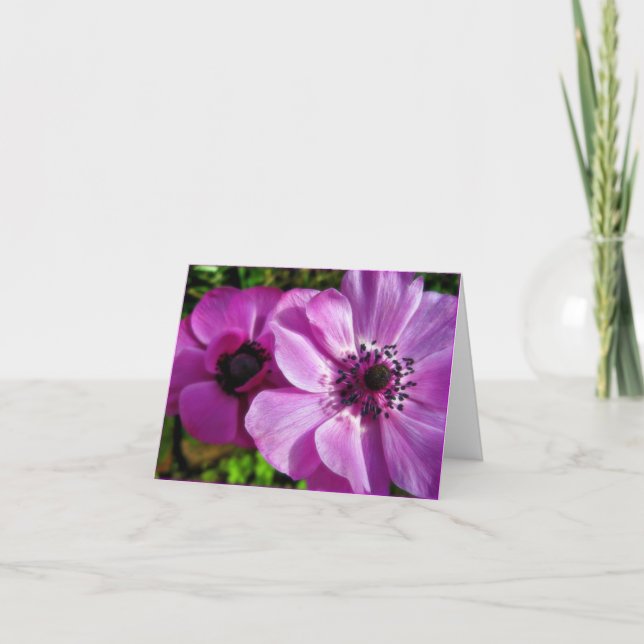 Springtime Lila Anemone Note Card Tack Kort (Framsida)