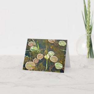 Springtime Lily Dynors Note Card Kort