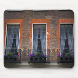 Springtime London Lavender Window Box Musmatta